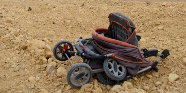 Palmira. Foto: Mikel Ayestaran.