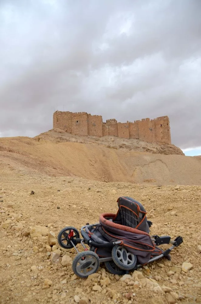 Palmira. Foto: Mikel Ayestaran.