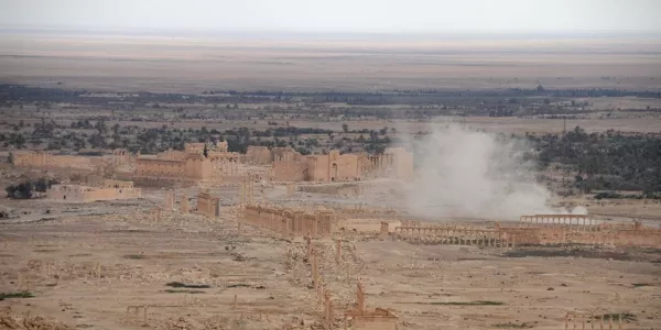 Palmira. Foto: Mikel Ayestaran.