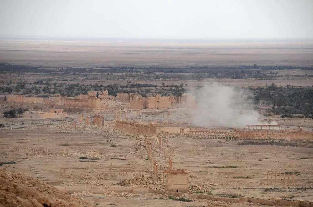 Palmira. Foto: Mikel Ayestaran.