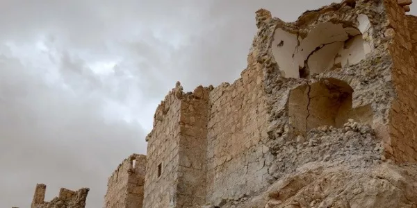 Palmira. Foto: Mikel Ayestaran.