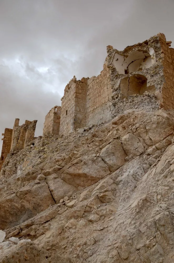 Palmira. Foto: Mikel Ayestaran.