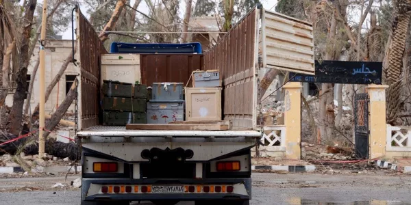 Palmira. Foto: Mikel Ayestaran.