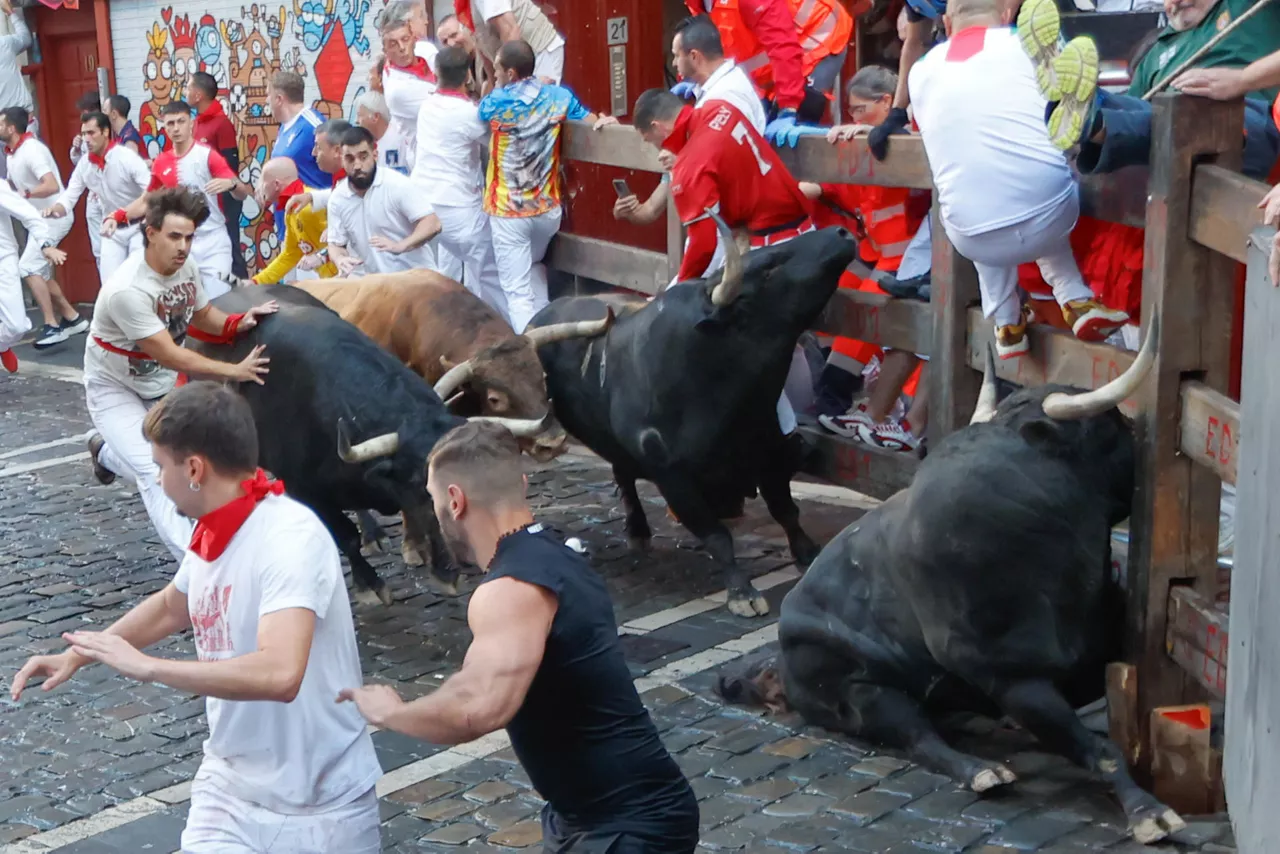 PAMPLONA, 13/07/2025.- Varios mozos son embestidos por toros de la ganadería gaditana de La Palmosilla s durante el séptimo encierro de los Sanfermines 2025 este domingo en Pamplona. EFE/Jesús Diges
