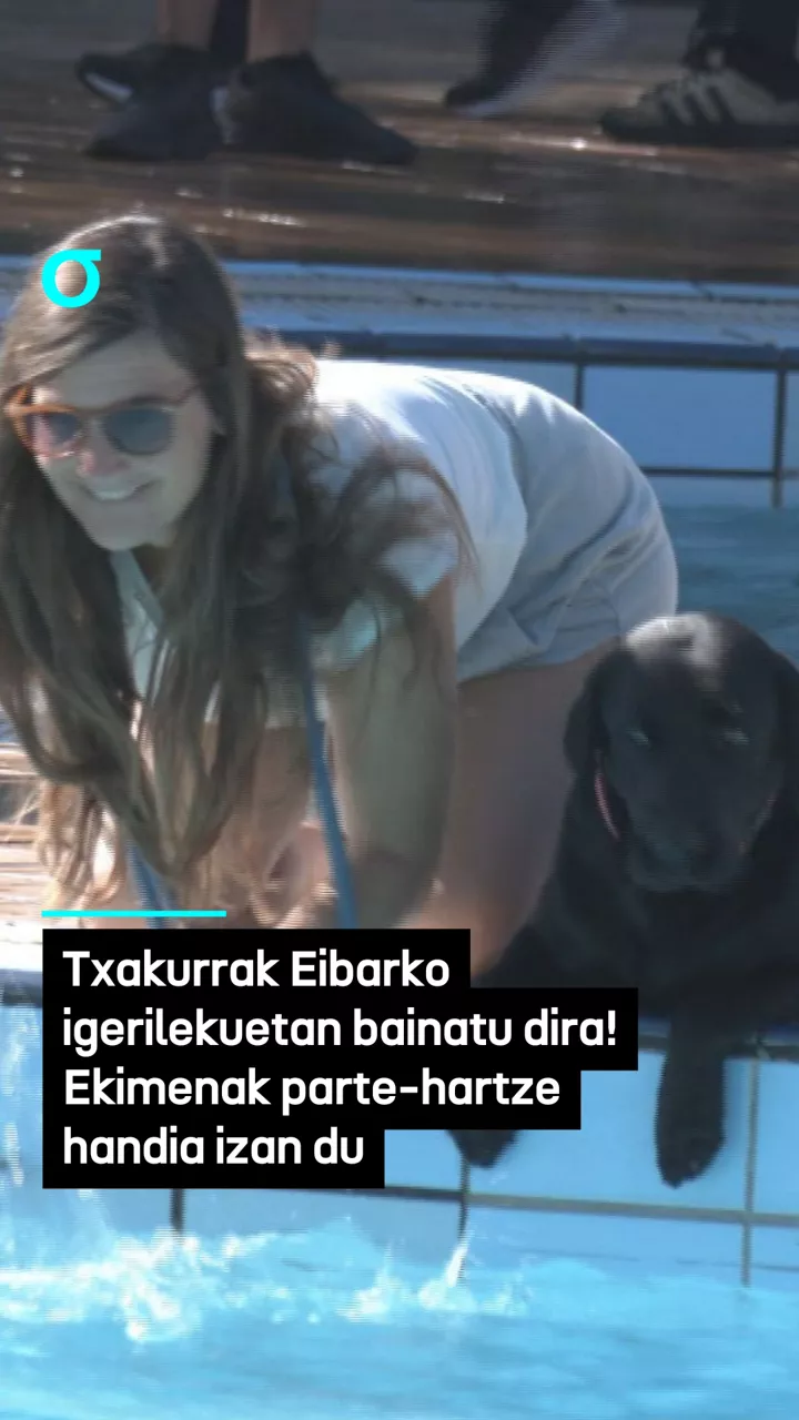 portada reels txakurrak igerilekuan