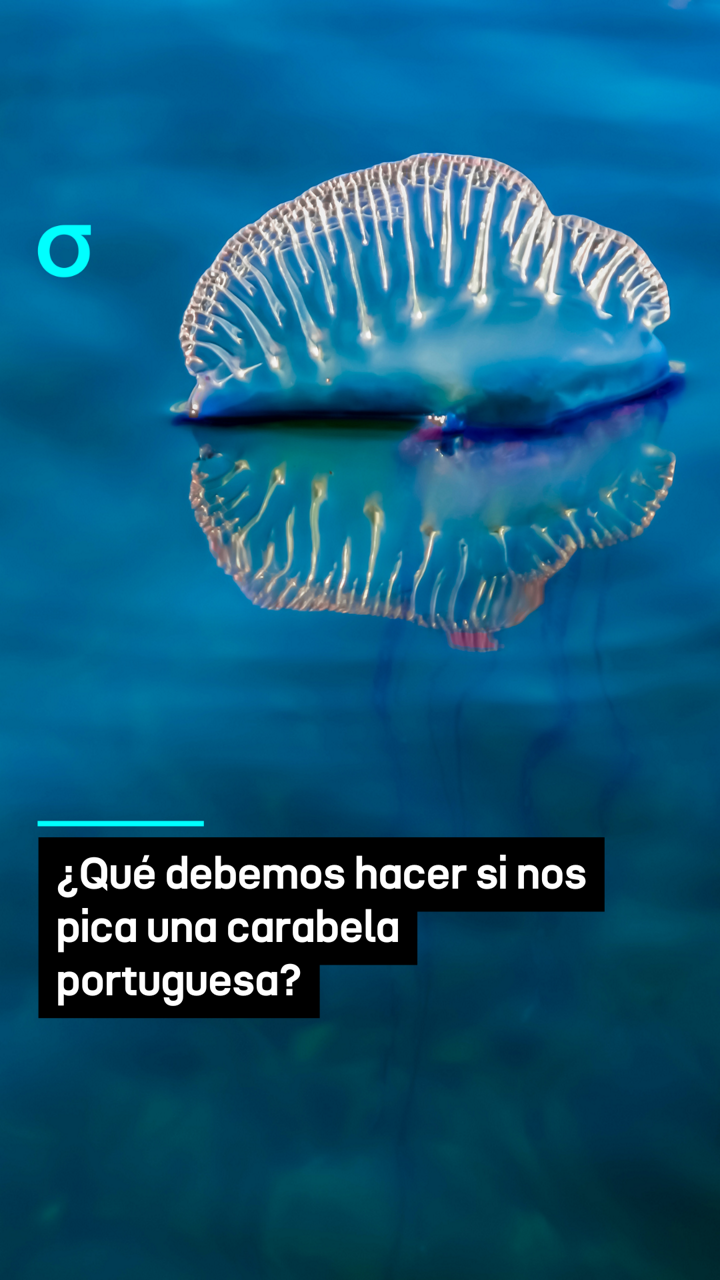 video feed poster
