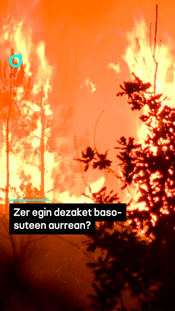 video feed poster