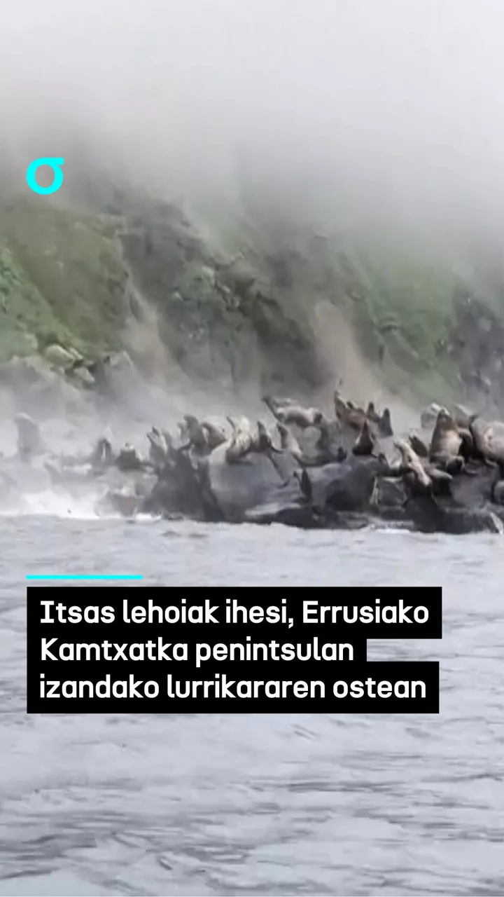 video feed poster