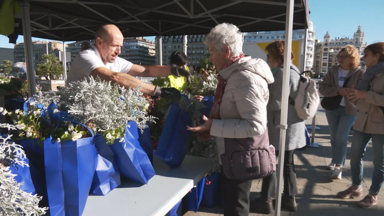 reparto plantas san sebastian