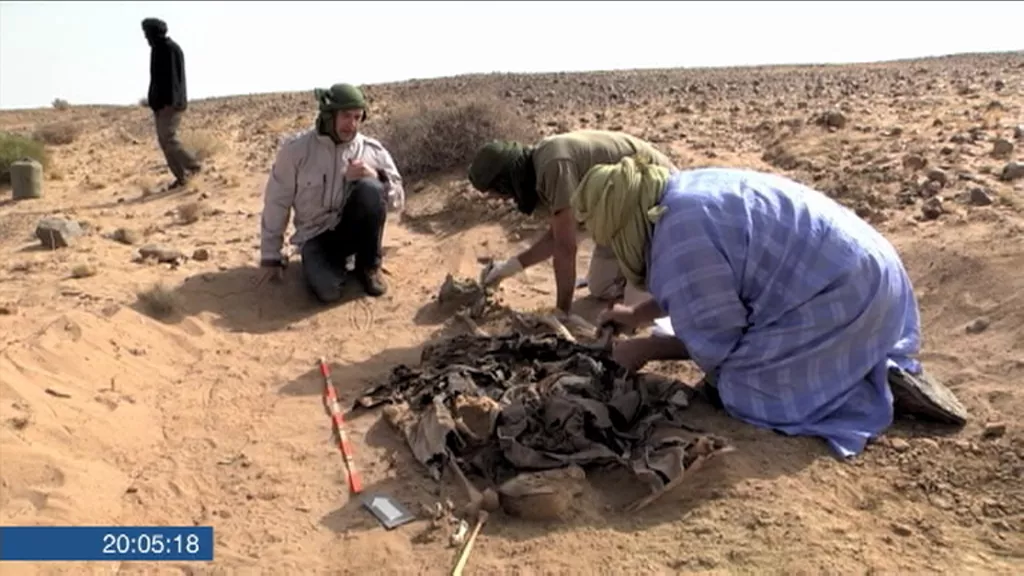 Genocidio en el sahara Occidental