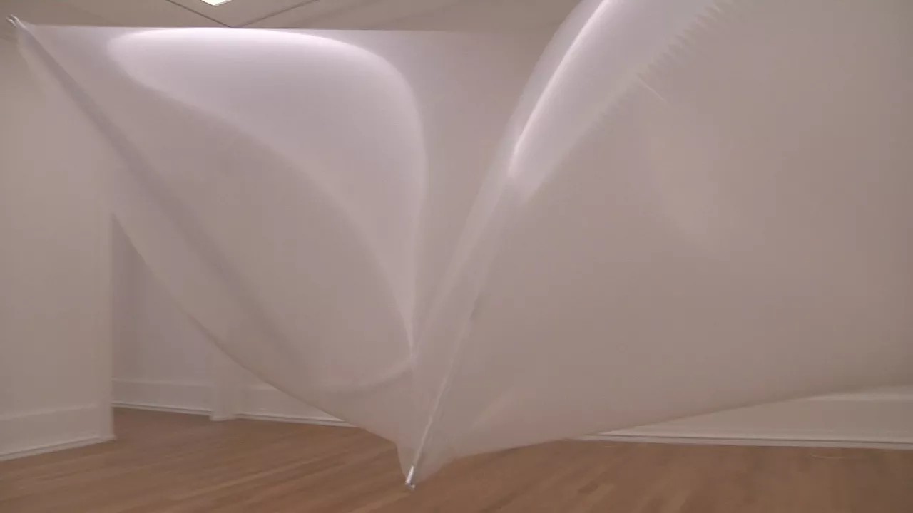 Sergio Pregoren artelana desmuntatzen hasi dira Arte Ederren Bilboko Museoan.