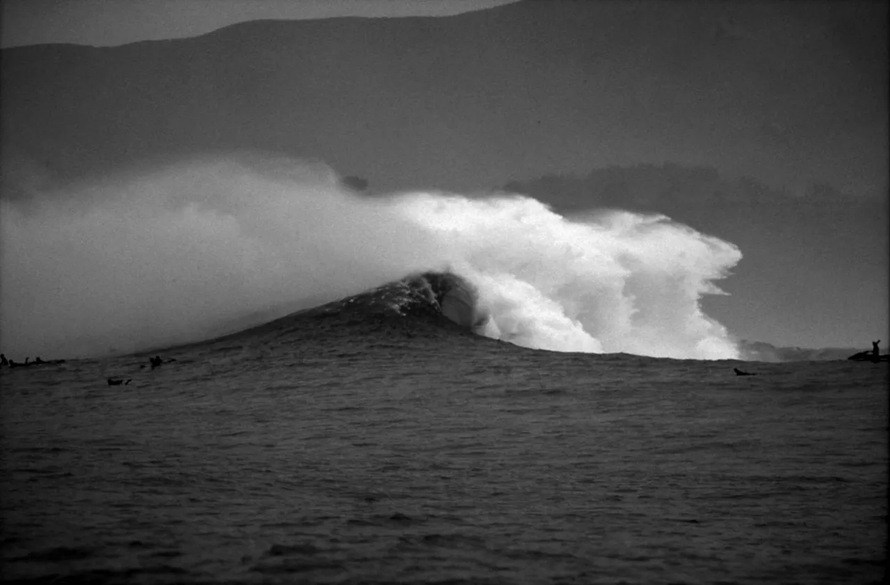 Surfers' Blood Savage Cinema Zinemaldia