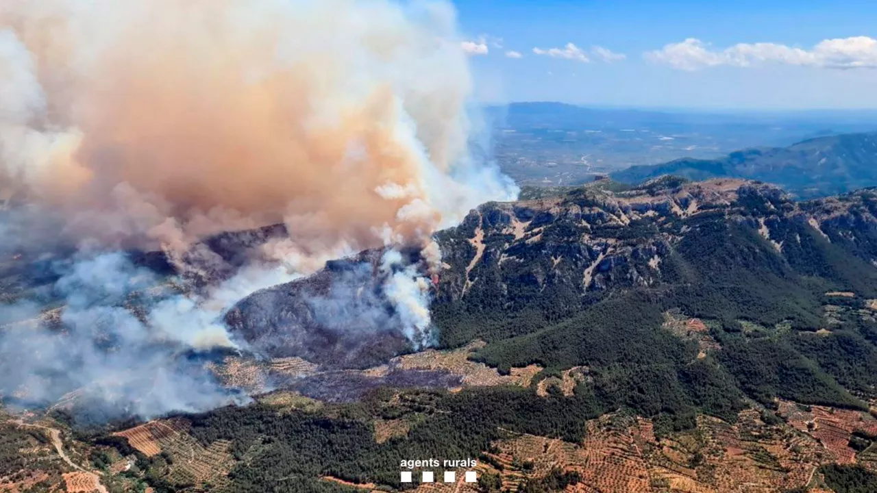 tarragona sutea incendio