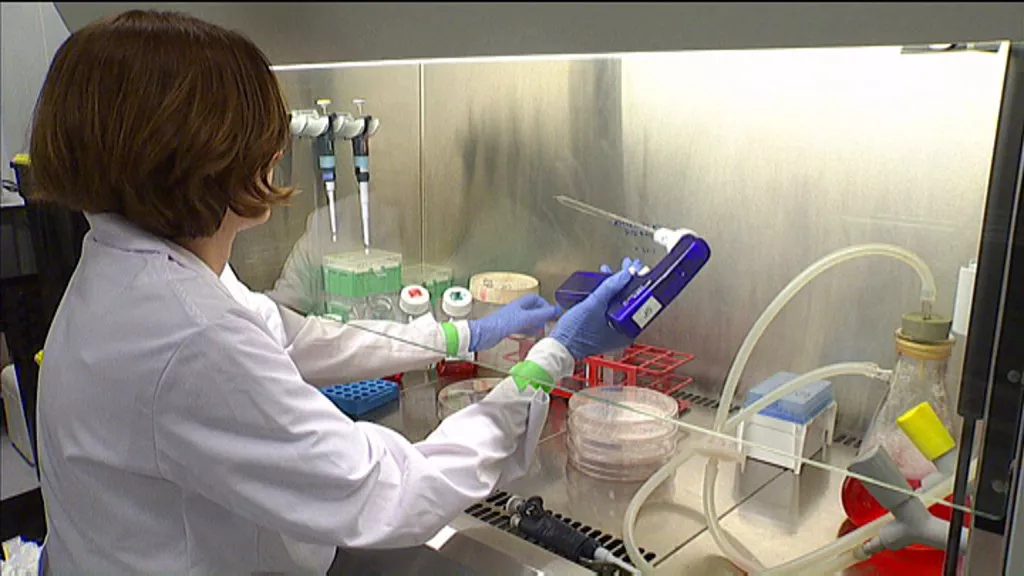 Aurrerapauso garrantzitsua eman du Biodonostiak garuneko tumore agresiboenaren garapenarekin lotuta