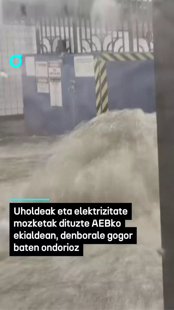 video feed poster