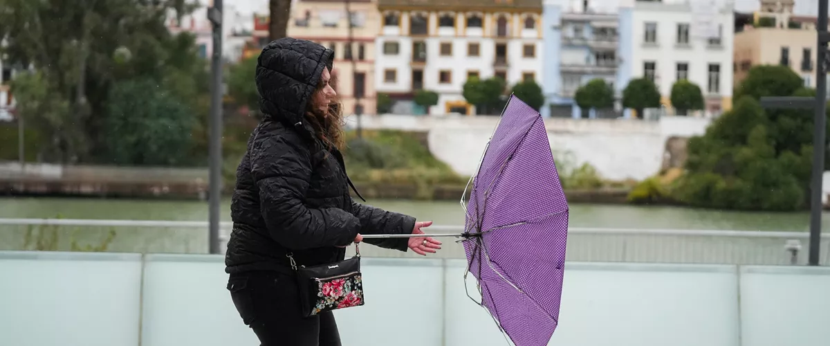 Sevillanos protegiéndose de la lluvia y el viento, protagonistas de la jornada de hoy con avisos naranja y amarillo en gran parte de Andalucía. A 13 de noviembre de 2025, en Sevilla (Andalucía, España). Andalucía vuelve a estar bajo la influencia de intensas lluvias, con avisos de nivel naranja y amarillo activos para este jueves en gran parte de la comunidad autónoma. El aviso naranja por lluvias se encuentra en el Litoral, Andévalo y Condado (Huelva), a partir de las 12.00 horas y hasta la media noche del día 14, mientras que el aviso amarillo por lluvias y tormentas se declara en Huelva, en Sevilla, Cádiz y Córdoba.



María José López / Europa Press

13/11/2025
