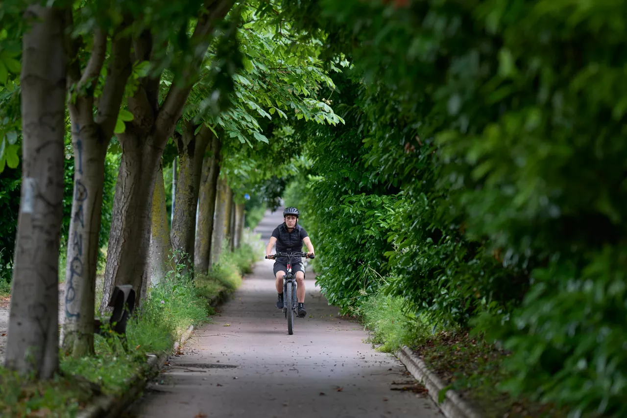 Un un carril bici es invadido por la vegetación en la capital alavesa. Foto: EFE