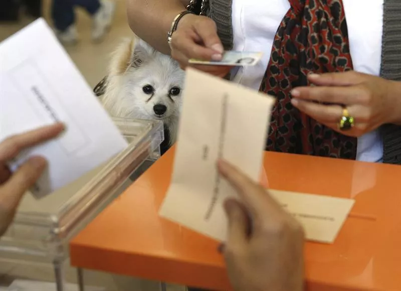 HAUTESKUNDEAK 2015 ELECCIONES EFE