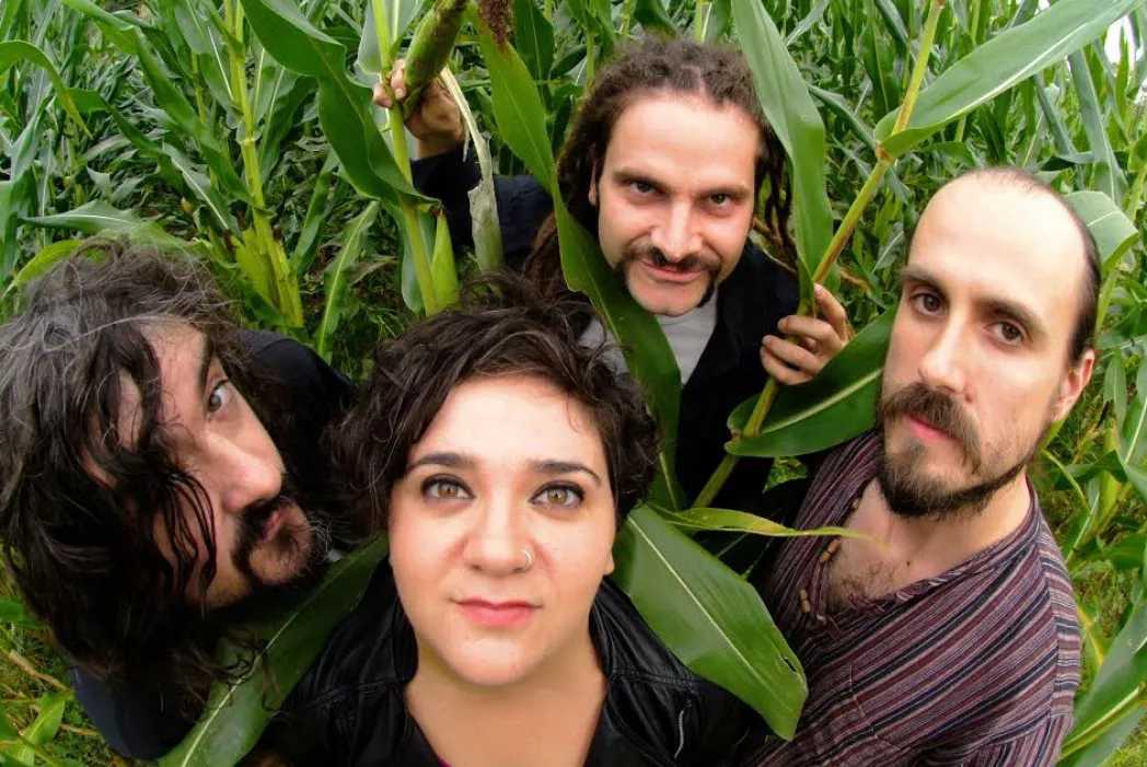 Zea Mays 2013