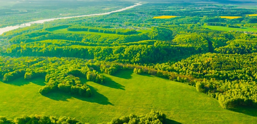 Sunny countryside