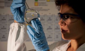 Scientist looks at test tube in lab