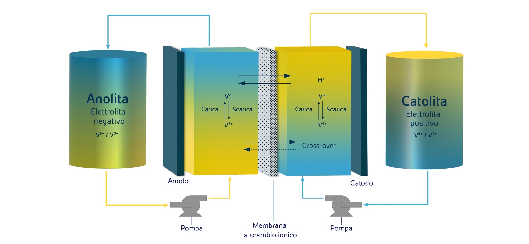 Grafico che illustra la struttura della cella di una batteria a flusso. 