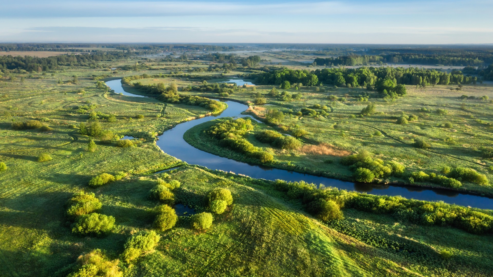 Natural green landscape with river