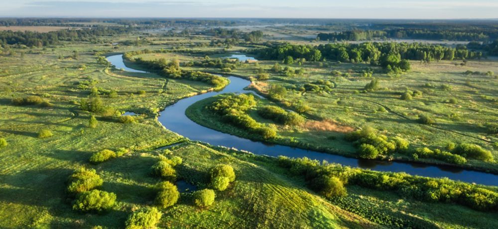 Natural green landscape with river