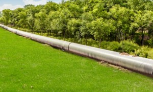 Pipeline next to the trees