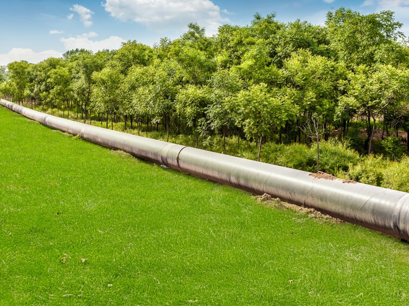 Pipeline next to the trees
