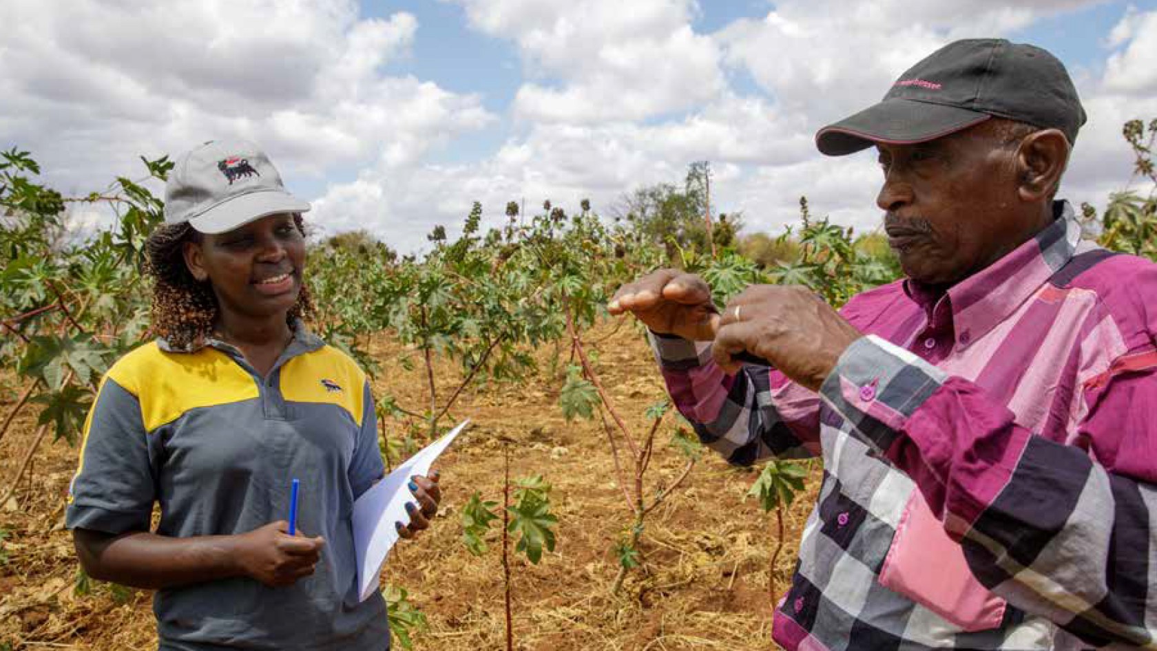 A woman and a man are talking in the middle of a field.