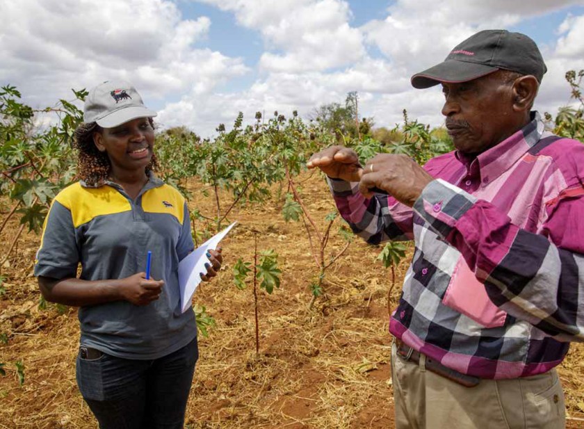 A woman and a man are talking in the middle of a field.