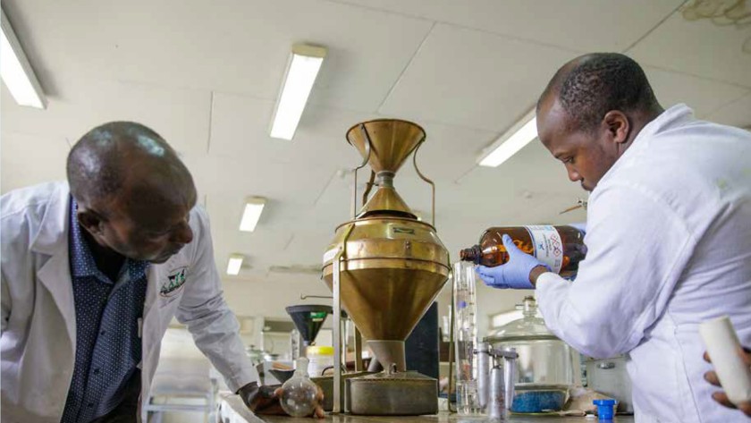 Technicians at an agri-hub in Kenya are analyzing a sample of vegetable oil.