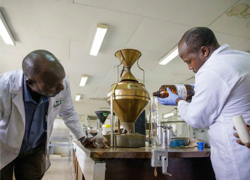 Technicians at an agri-hub in Kenya are analyzing a sample of vegetable oil.