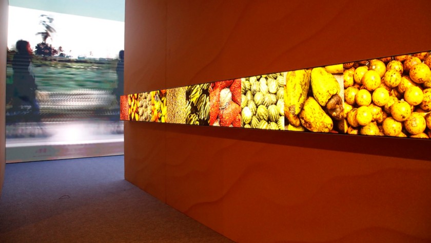 Stanza all'interno della mostra FE&L -  Food Energy & Life.