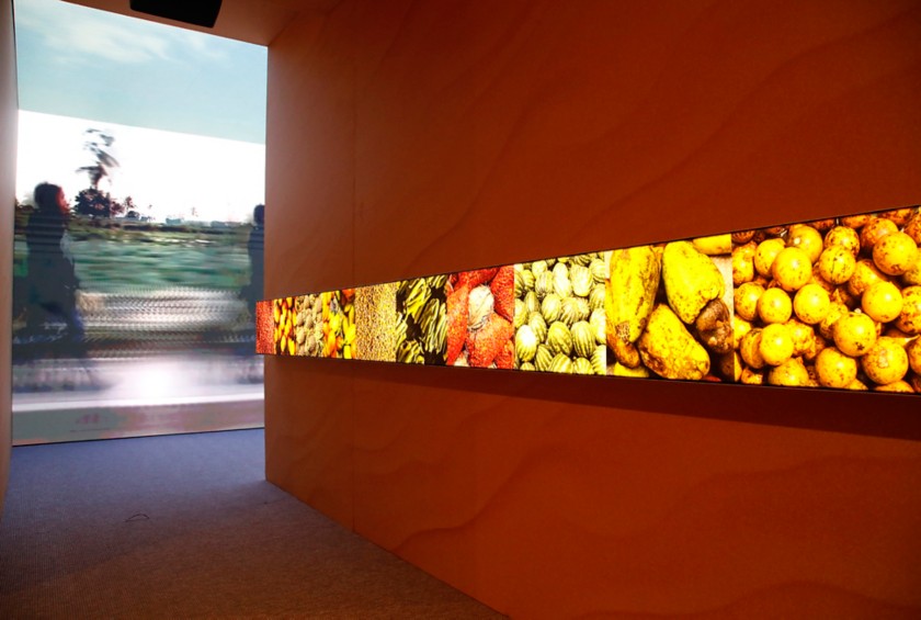 Stanza all'interno della mostra FE&L -  Food Energy & Life.