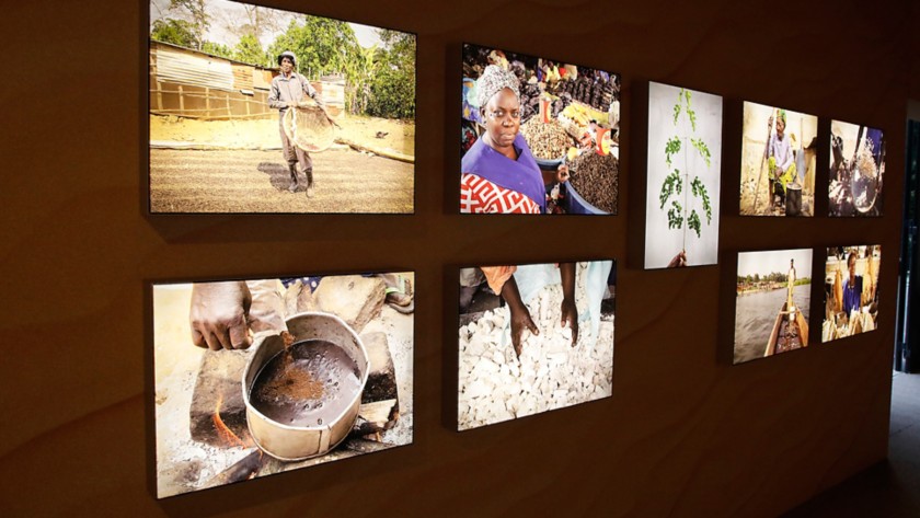 Stanza all'interno della mostra FE&L -  Food Energy & Life.