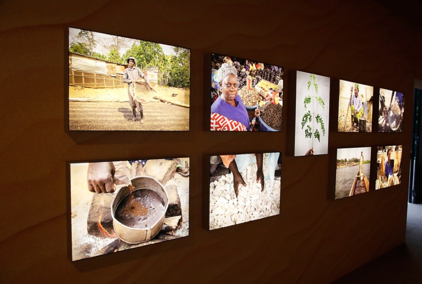 Stanza all'interno della mostra FE&L -  Food Energy & Life.
