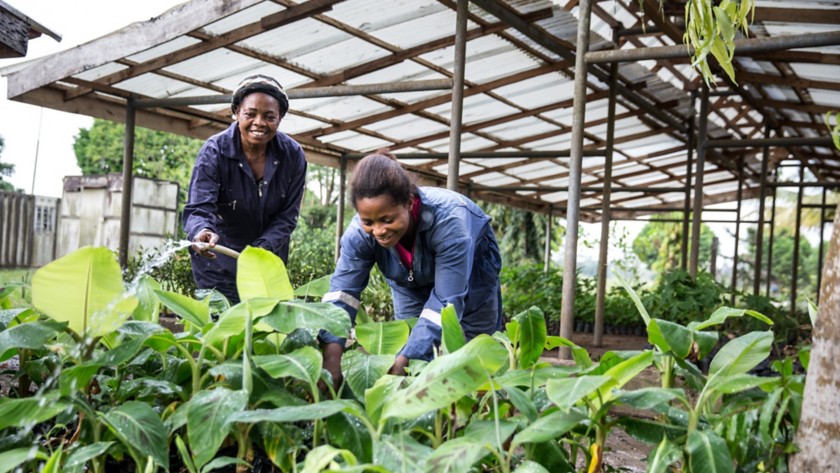 African women watering the garden