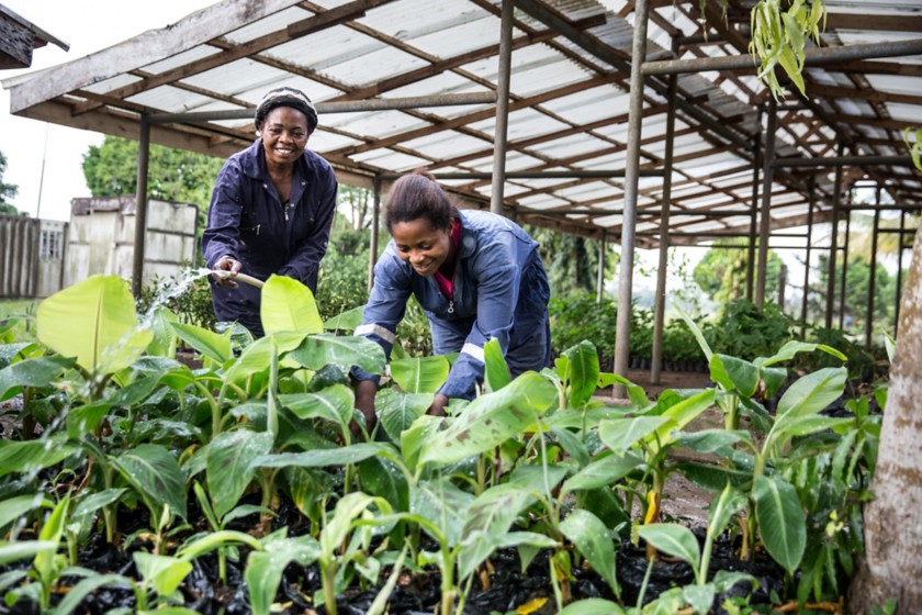 African women watering the garden