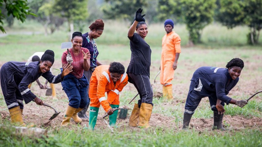 Donne africane sorridono in un campo agricolo mentre lavorano la terra