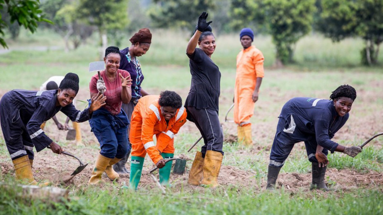 African women smile in an agricultural field as they work the land