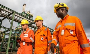 Team of workers inside the plant