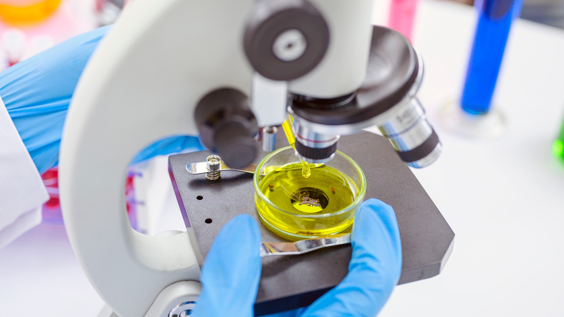 Scientist's hand at the microscope during the analysis stage