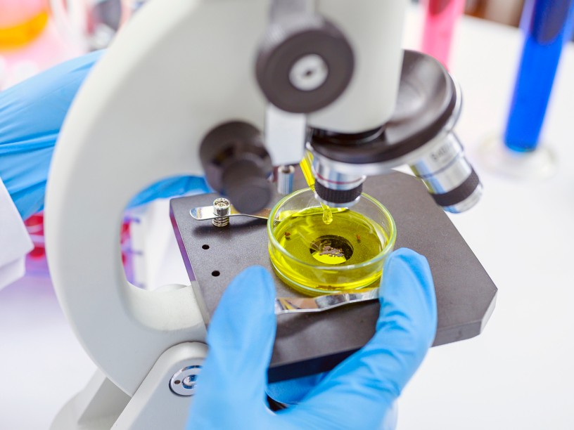 Scientist's hand at the microscope during the analysis stage
