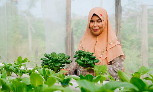 Vivaista in una serra