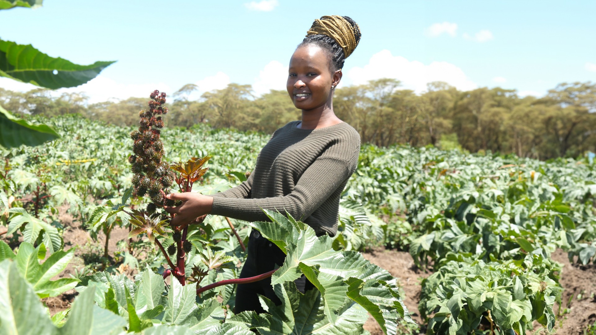A female technician from the agri-hub in Kenya in a castor plantation