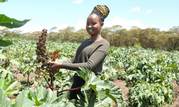 Una addetta tecnica dell'agri-hub in Kenya in una piantagione di ricino.