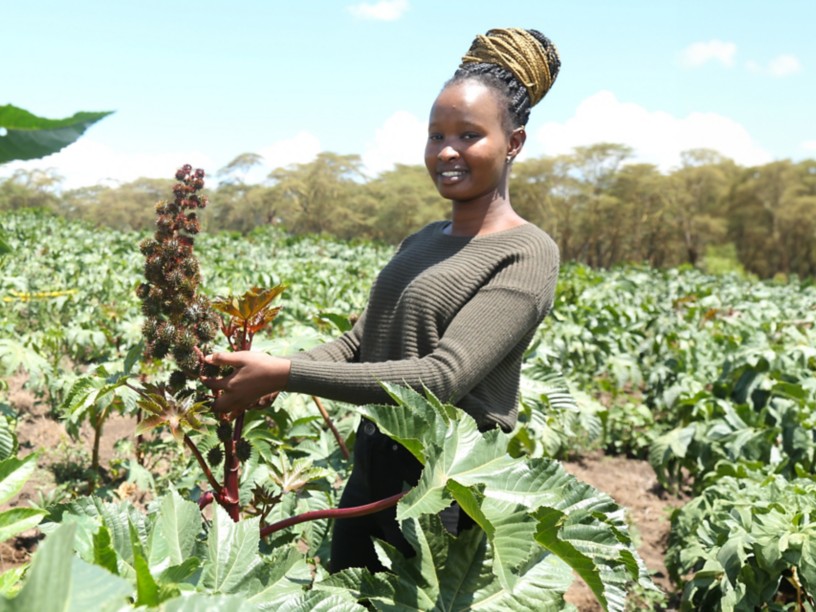 A female technician from the agri-hub in Kenya in a castor plantation
