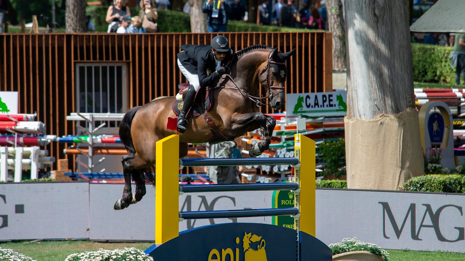 Show jumping horses at the Piazza di Siena event